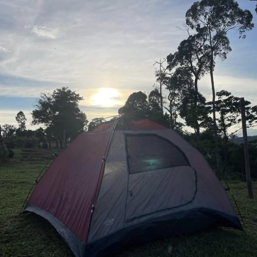 Camp Site | Bring Your Own Tent