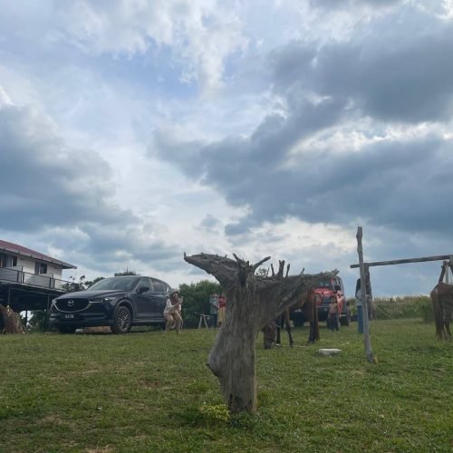 Private Room With Balcony