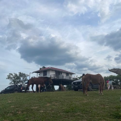 Private Room With Balcony